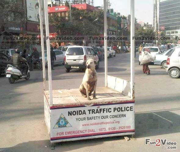 Wallpaper Desk : Funny jokes wallpaper, funny wallpaper jokesWallpaper Desk