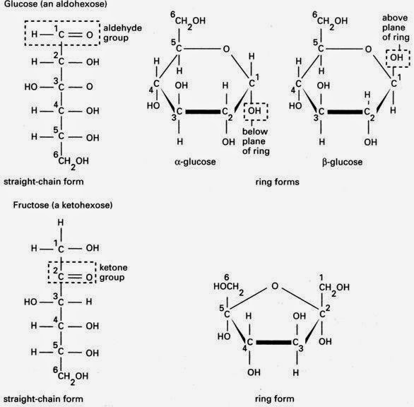 Kimia Smk Makromolekul