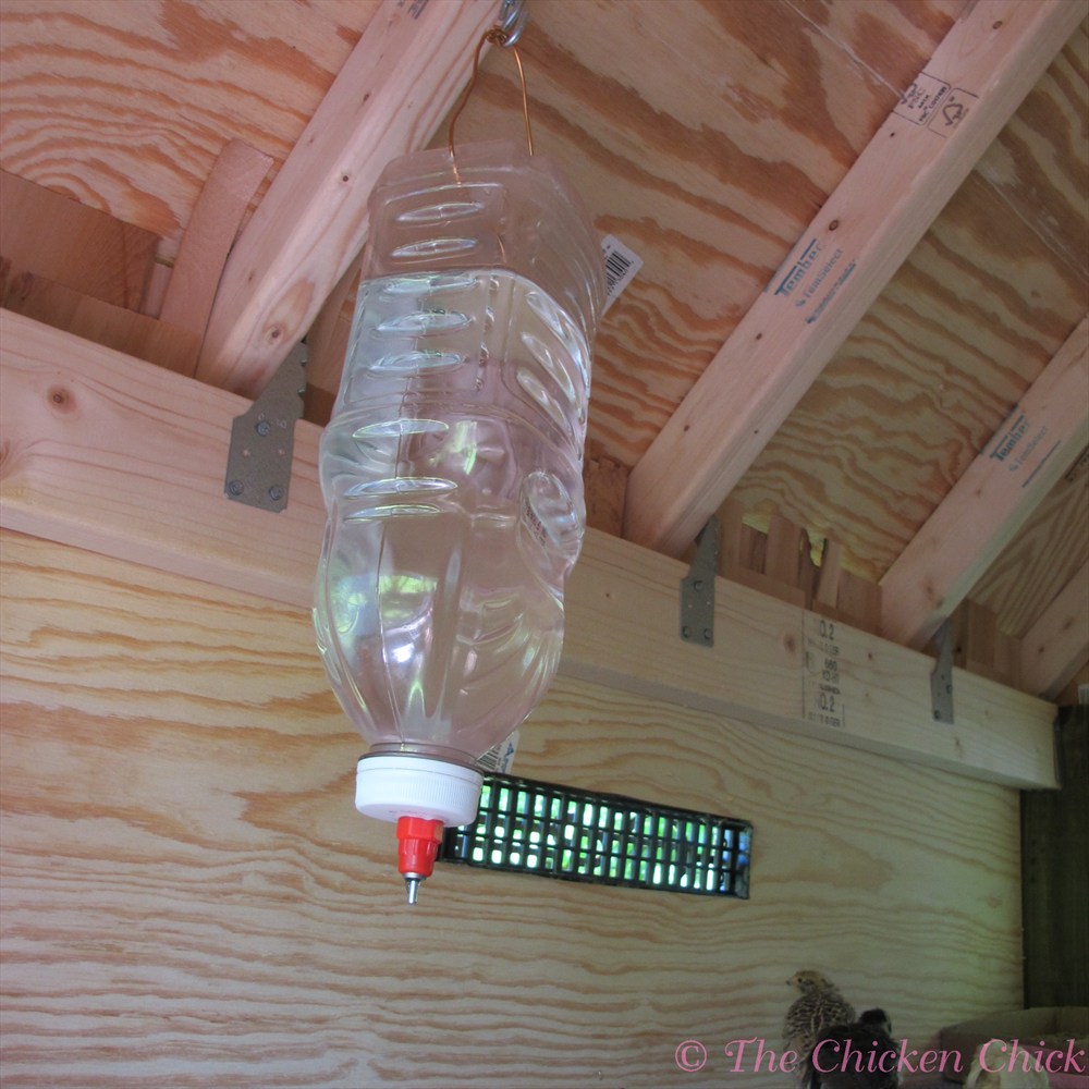The Chicken Chick® Chicken Nipple Waterer DIY Instructions Clean