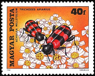 Estampilla húngara que representa dos escarabajos ajedrezados (Trichodes apiarius) sacando polen de la milhojas (Achillea millefolium) Estampilla húngara que representa dos escarabajos ajedrezados (Trichodes apiarius) sacando polen de la milhojas (Achillea millefolium)
