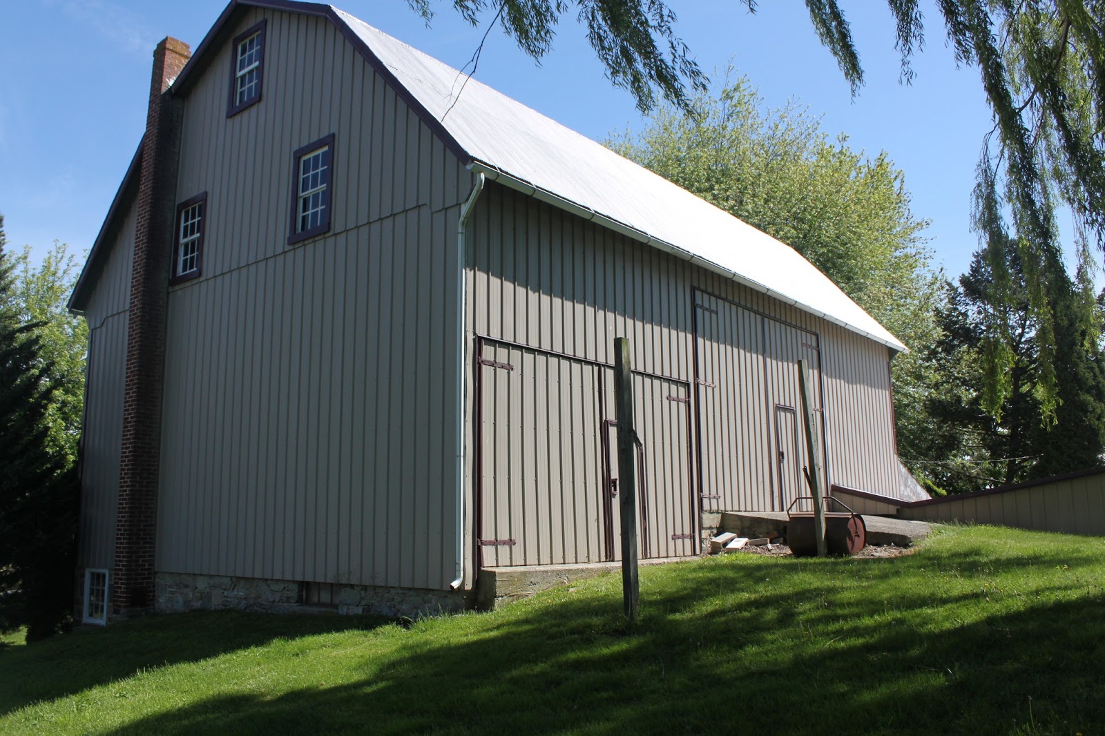 Maple Leaves Sycamore Trees Whaddya Live In A Barn