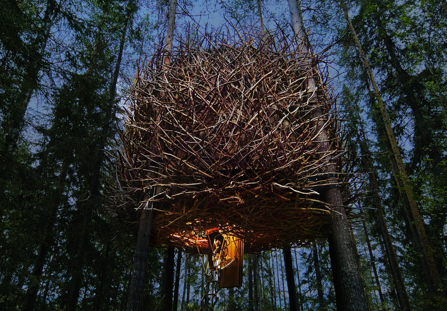 Coolest Cabins Bird's Nest Cabin