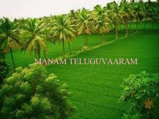All Telugu news - Best and perfect news in Telugu
