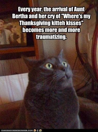 always on watch semper vigilans thanksgiving humor Thanksgiving+cat always on watch semper vigilans thanksgiving humor