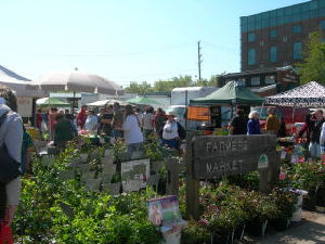 artisan market ann arbor artisan market ann arbor