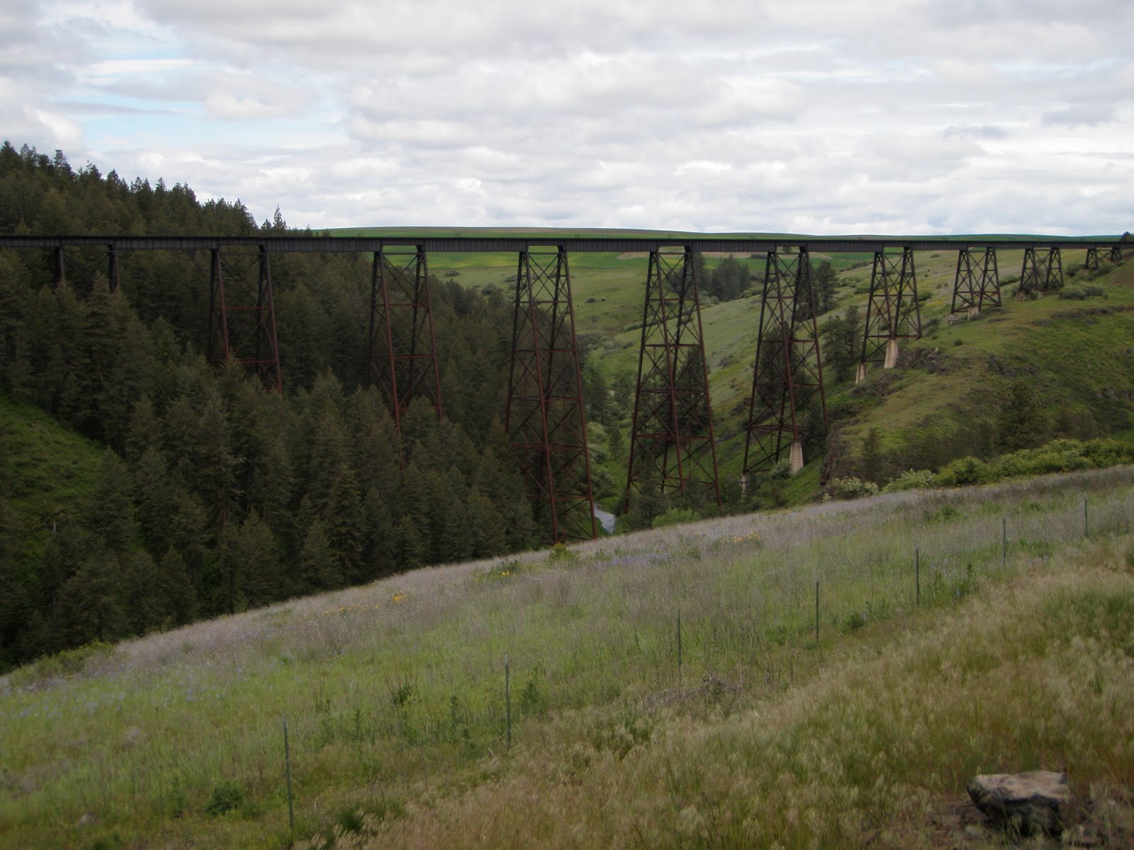 Lone Rider Pedals Lewiston, ID to Winchester, ID 40 miles