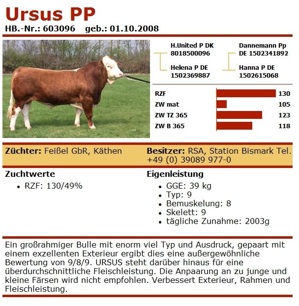 Fleckvieh Fleisch in Niederösterreich URSUS PP