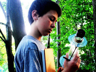 13 year old Inventor Cracks Secret of Trees to Collect Solar Power 13+year+old+researcher+finds+tree+inspired+solar+collection+more+efficient