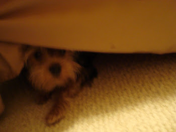 hiding from mommy........