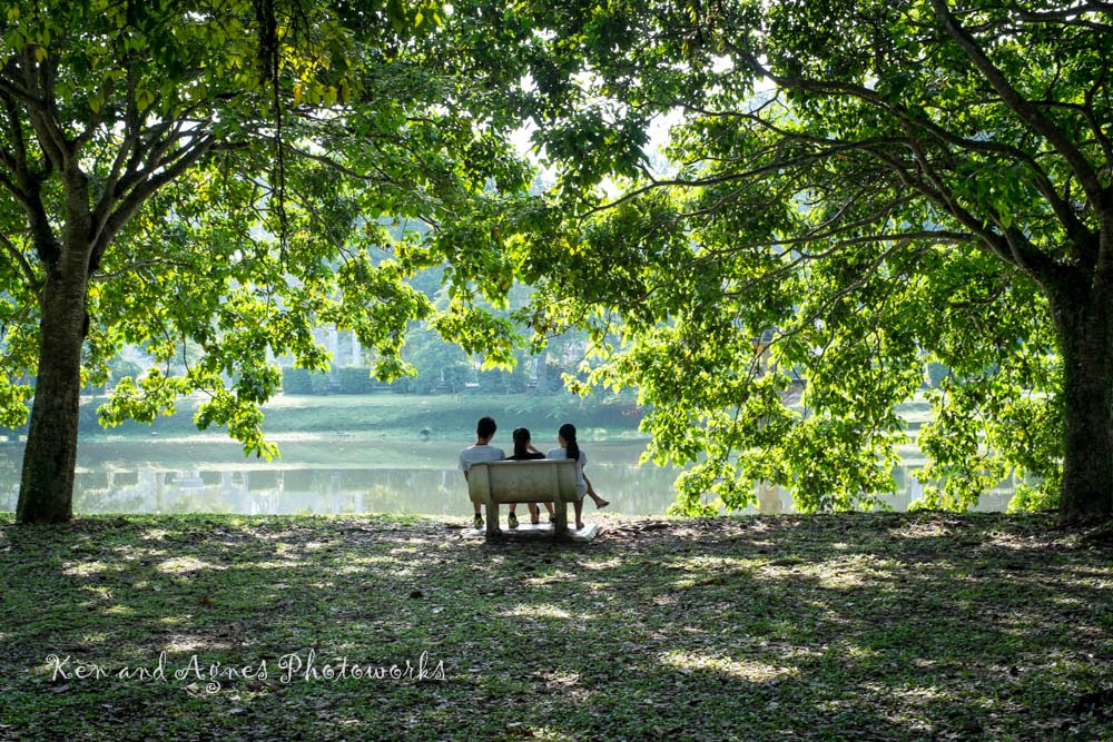 Taiping Lake Gardens