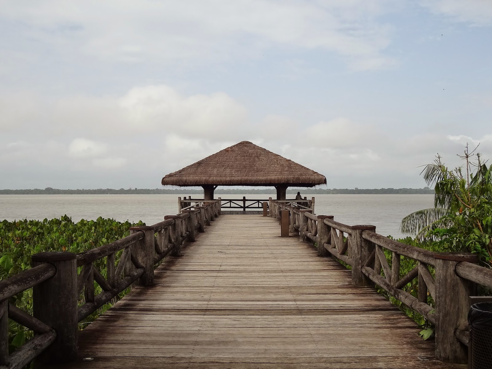 Mangal das garças no Rio Guamá e Baía de Guajará, Belém, Pará Uma viagem de barco e rede de Manaus a Belém, passando em Alter do Chão: botos e outros bichos, índios, selva, praias, museus e encontros de muitas águas!