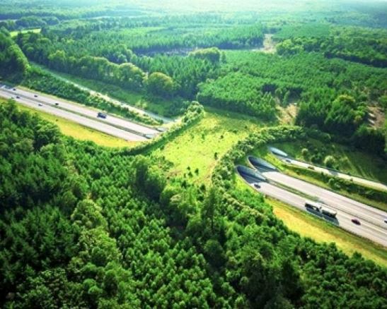 Puente ecológico ecoducto Países Bajos