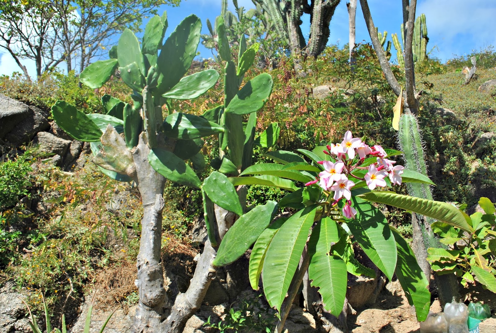 Huatulco's San Agustin Bay