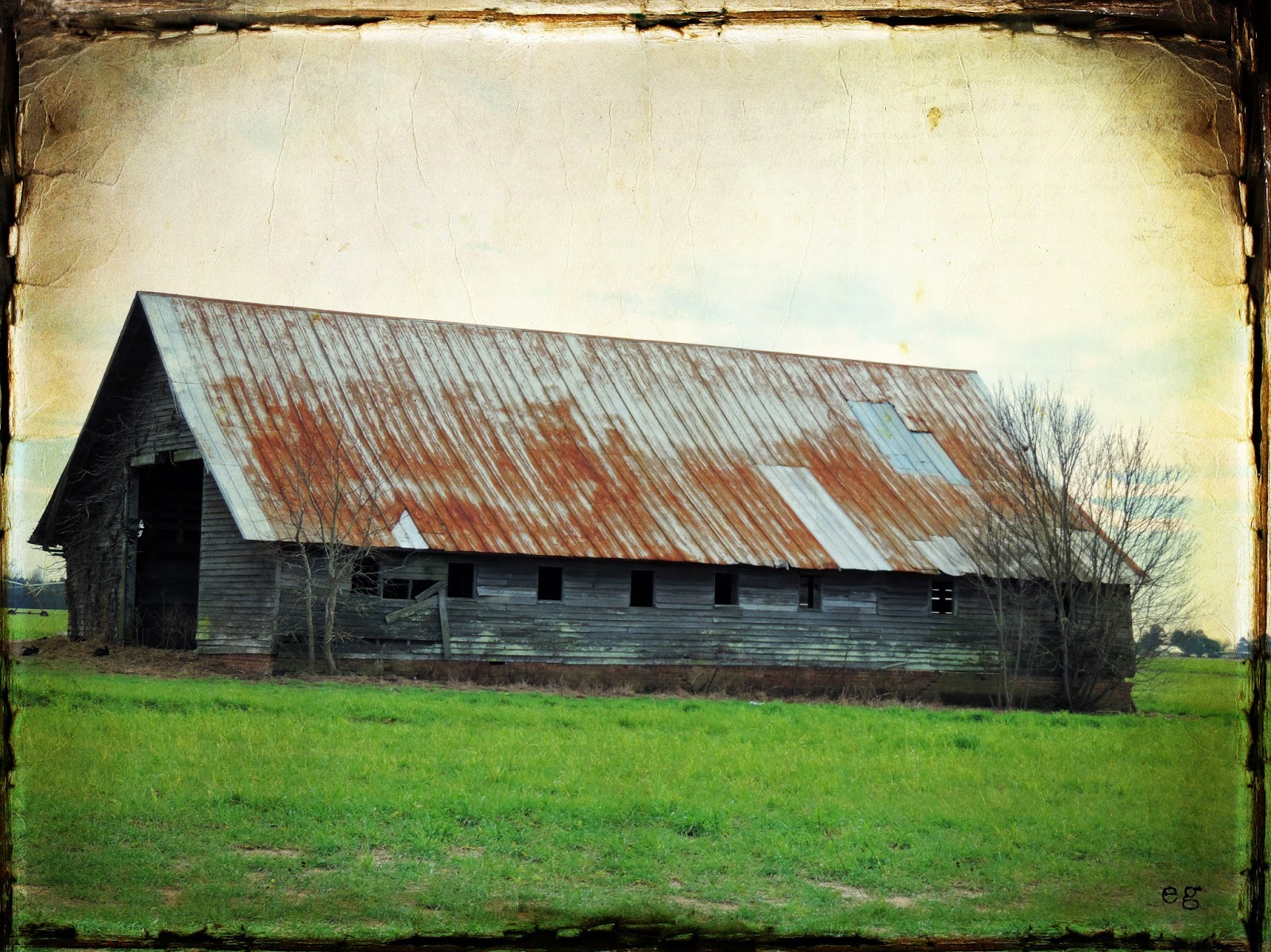 the last door down the hall Digital Photographs The Rabbit Hutch...
