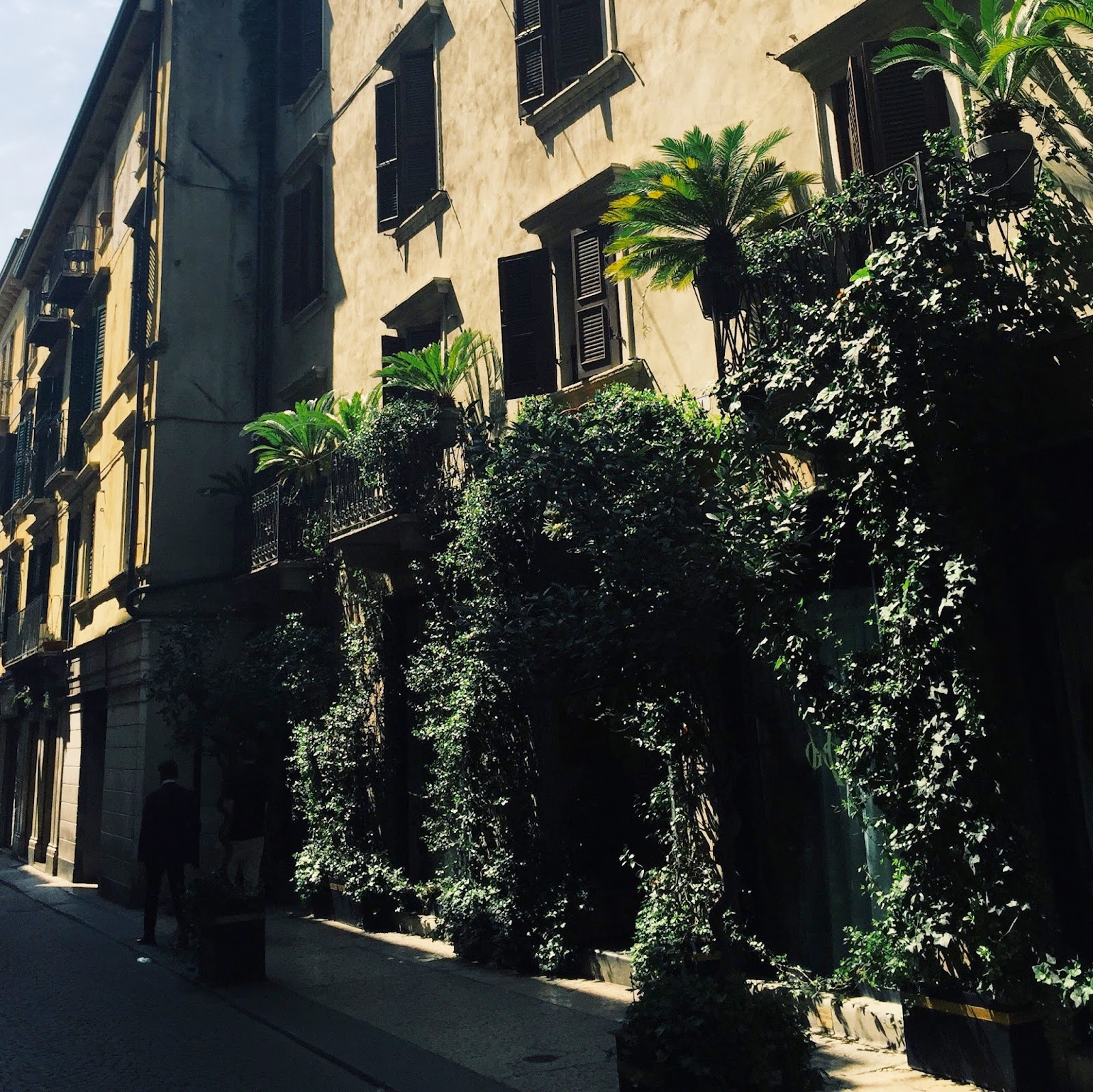 Museum On Display 2014