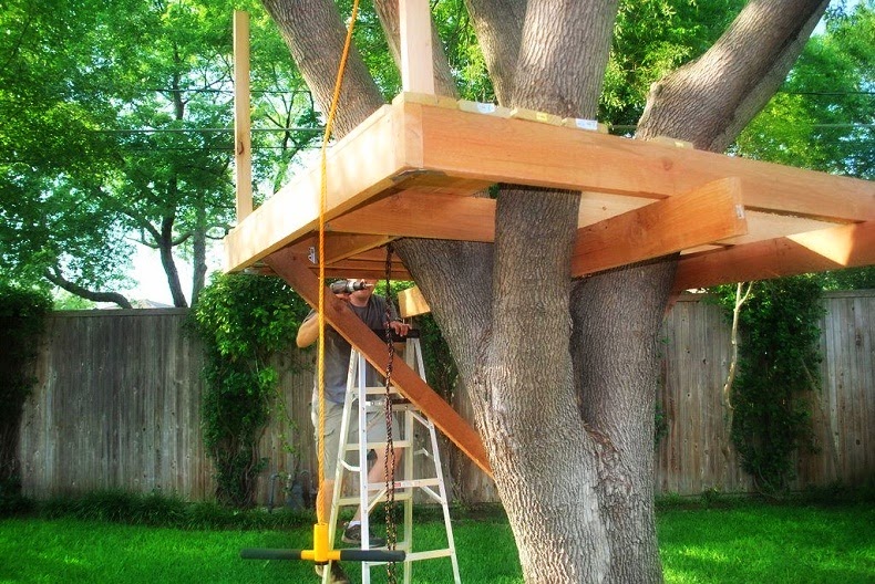 Treehouse in one Tree
