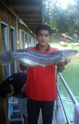 Big Fish III