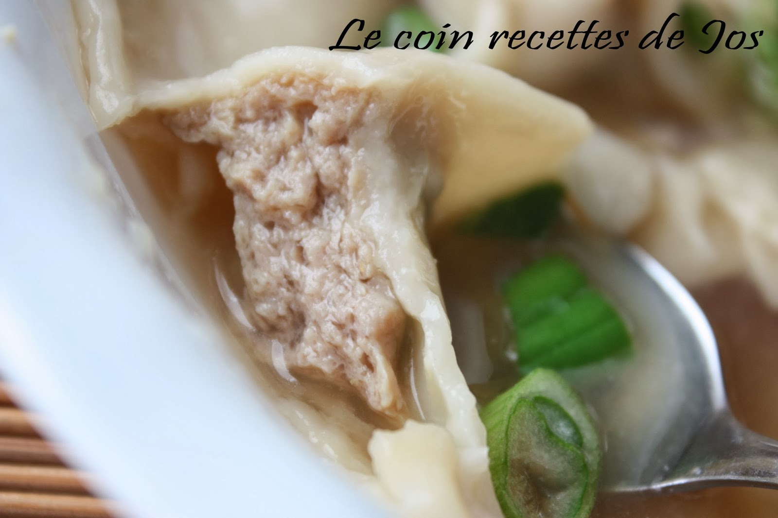 Le coin recettes de Jos SOUPE WON TON AU POULET