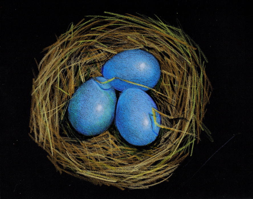Joyce's Art Stores: Robin Eggs:...
