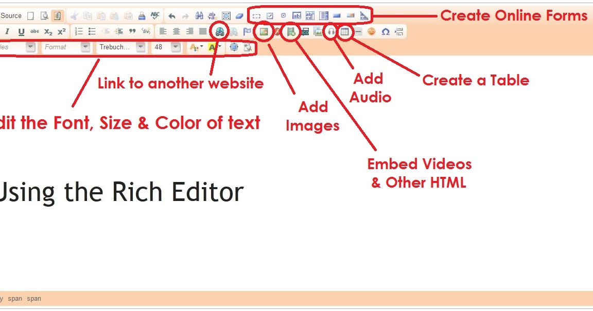 Use the Rich Editor to Customize your site
