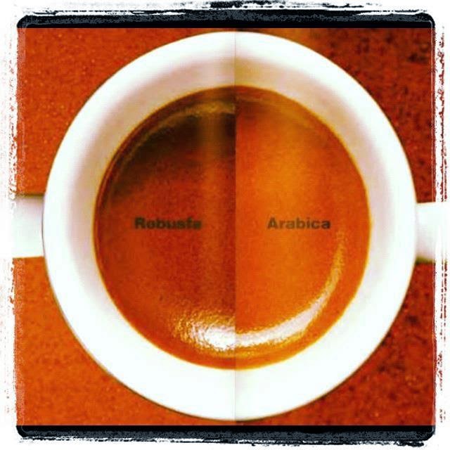 Profesyonel Barista Eğitimi Lavazza Kahve