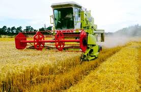 Anim Agro Technology Varieti Padi Di Malaysia 3