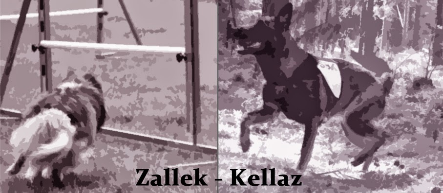 Zallek och Kellaz blogg