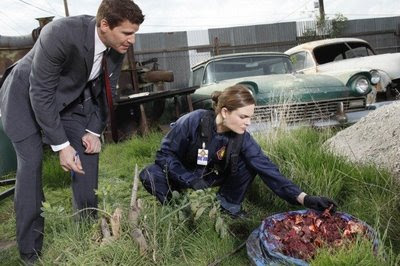 Watch Bones Season 4 Episode 19 - The Science in the Physicist