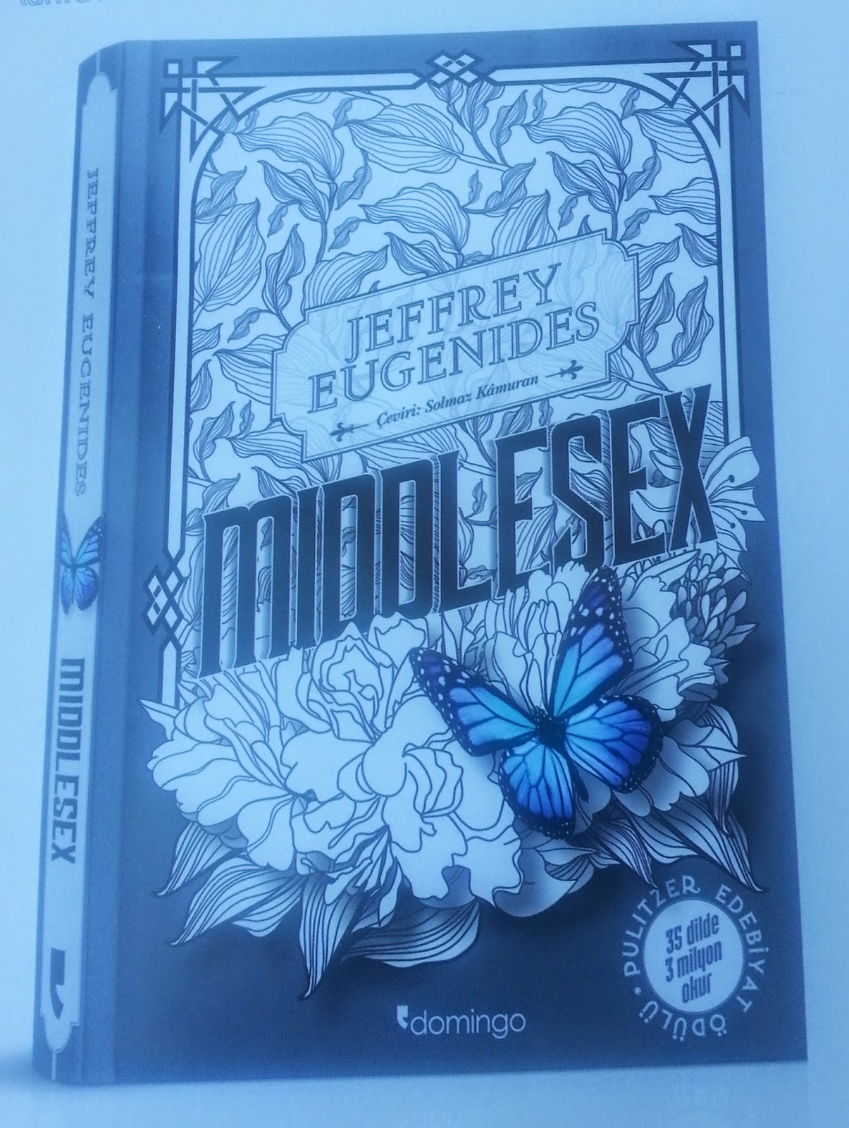 middlesex eugenides review middlesex eugenides review