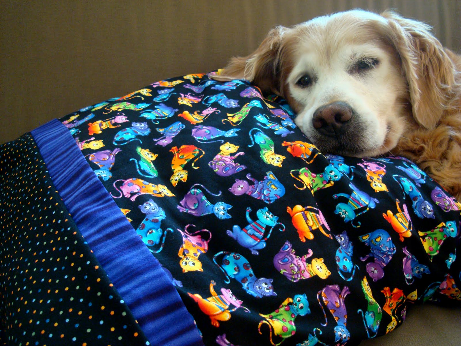 Pet Themed Sausage Pillow Case Golden Woofs