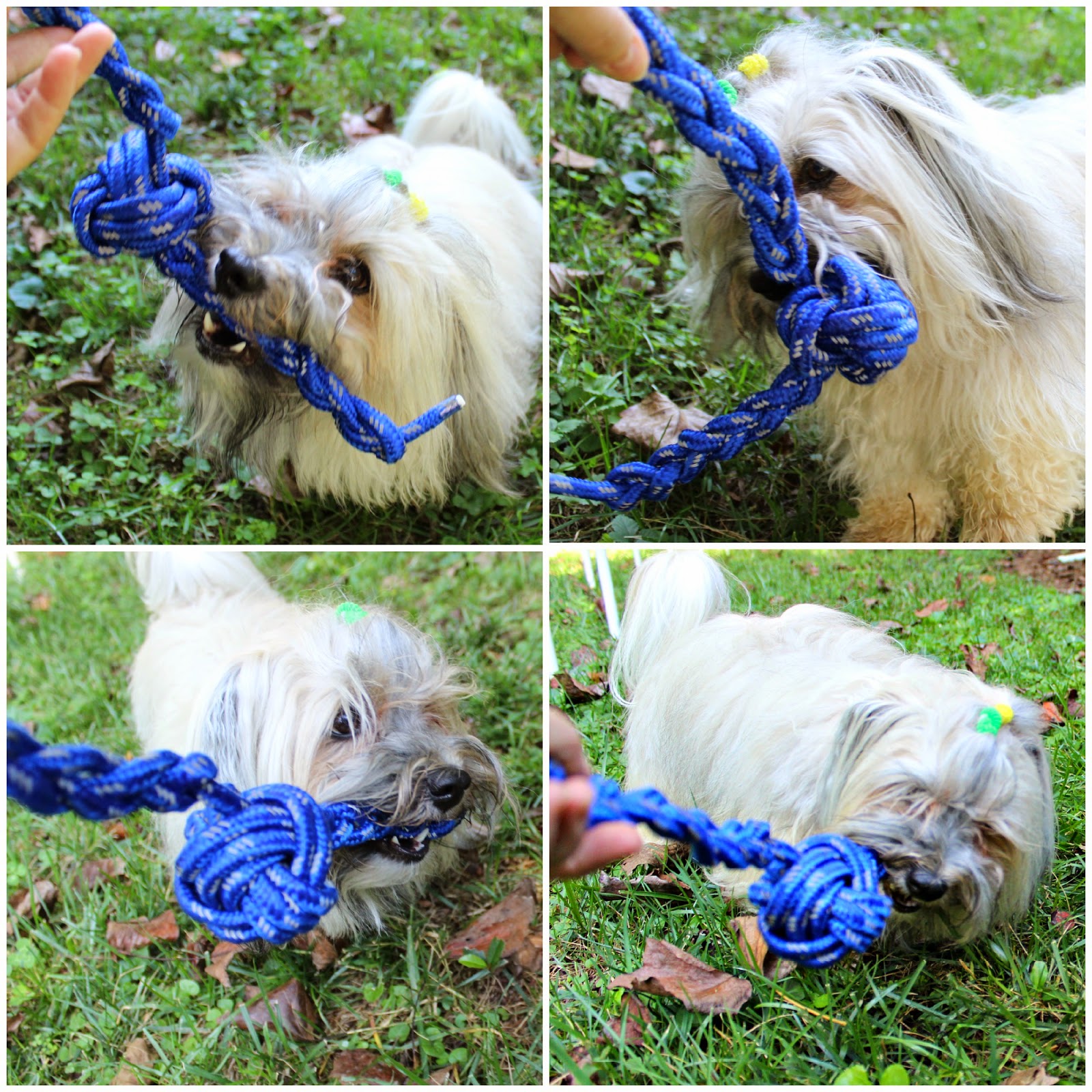 To Dog With Love DIY Dog Toys How to Make a Rope Tug Toy Paw2014