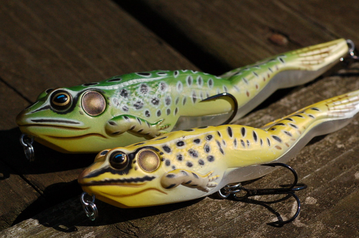 Live Target Frog