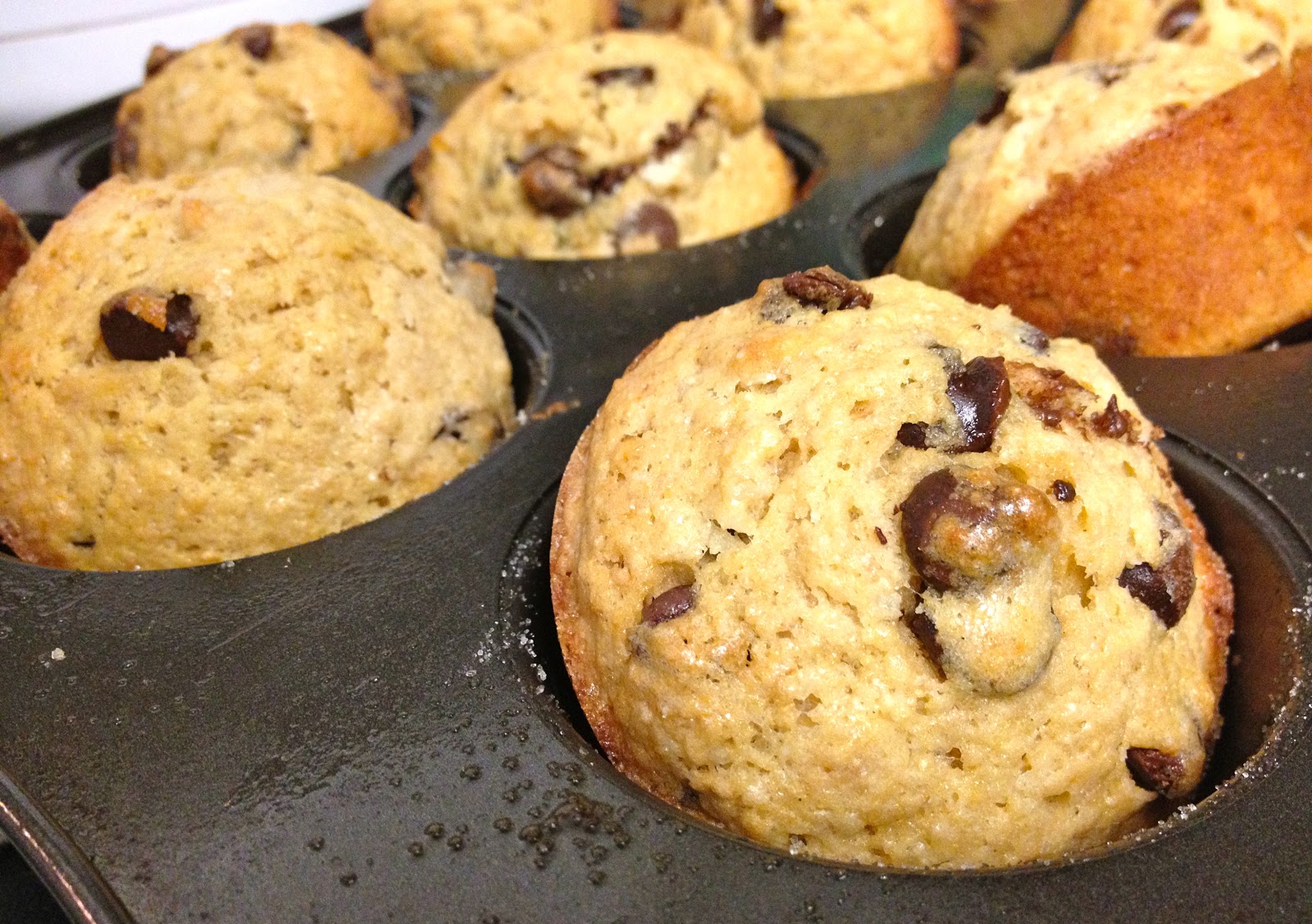Gourmet Taste for the College Buds Chocolate Chip Muffins w/ Whole