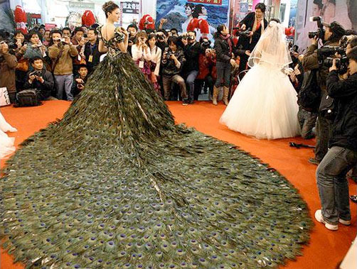 SUN SHINES: Amazing Peacock wedding Dress SUN SHINES: Amazing Peacock wedding Dress