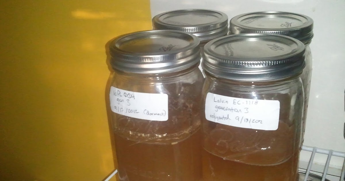 Woodland Brewing Research My four pet yeasts