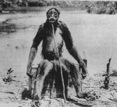 Generasi Mahluk Mata Rantai Evolusi yang Hilang Generasi Mahluk Mata Rantai Evolusi yang Hilang