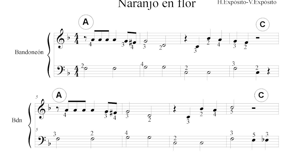 profe nico fontana Naranjo en flor (versión fácil)