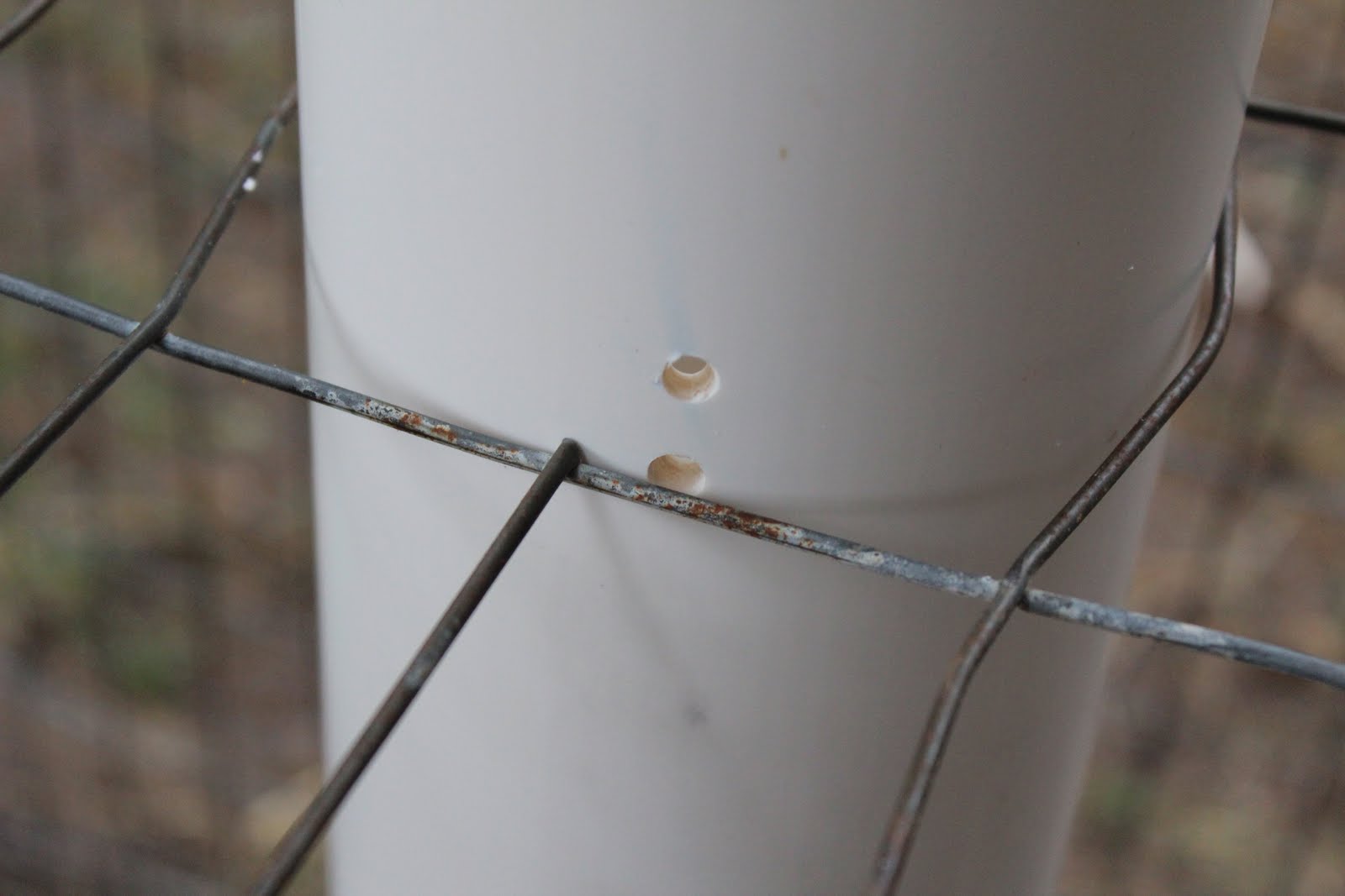 Homestead Roots Baby Chick Feeder DIY Super Easy Works Great!