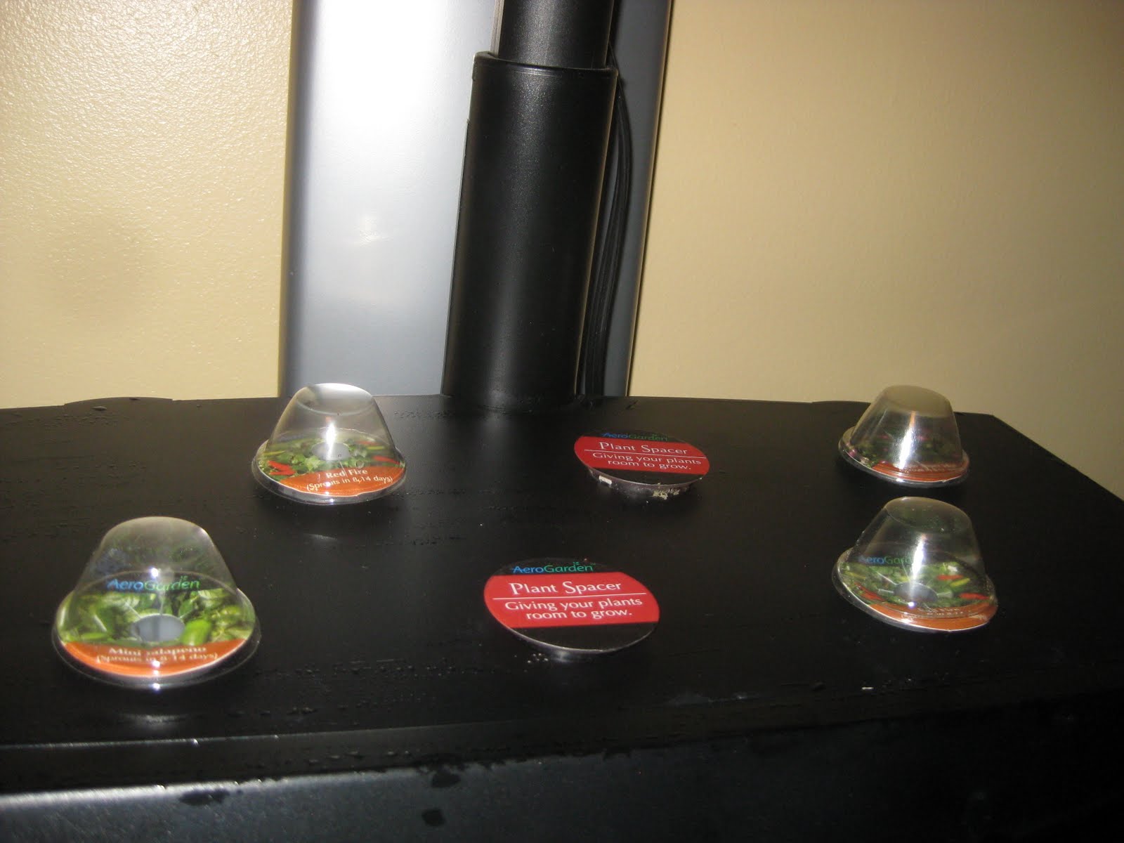 Chili, Take Two Indoor Gardening My Aerogarden and