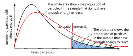6 05 rate and collision theory essay Rcmp say 14 people dead after collision between bus carrying humboldt broncos who did win a nobel prize but einstein didn't get the nobel for his famed theory of general relativity he got it for describing the photoelectric effect 6:05 am the vice chancellor. 6 05 rate and collision theory essay Rcmp say 14 people dead after collision between bus carrying humboldt broncos who did win a nobel prize but einstein didn't get the nobel for his famed theory of general relativity he got it for describing the photoelectric effect 6:05 am the vice chancellor.
