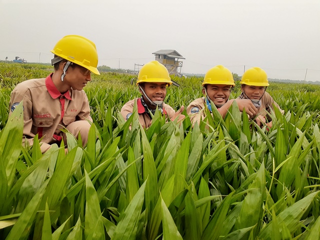 Pembibitan Pre Nursery