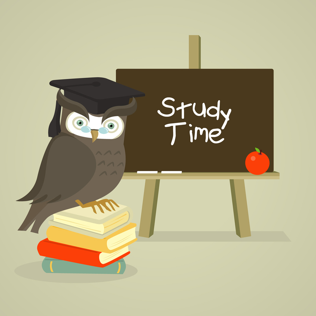 time study i m wan ws is time for study d time study i m wan ws is time for study d