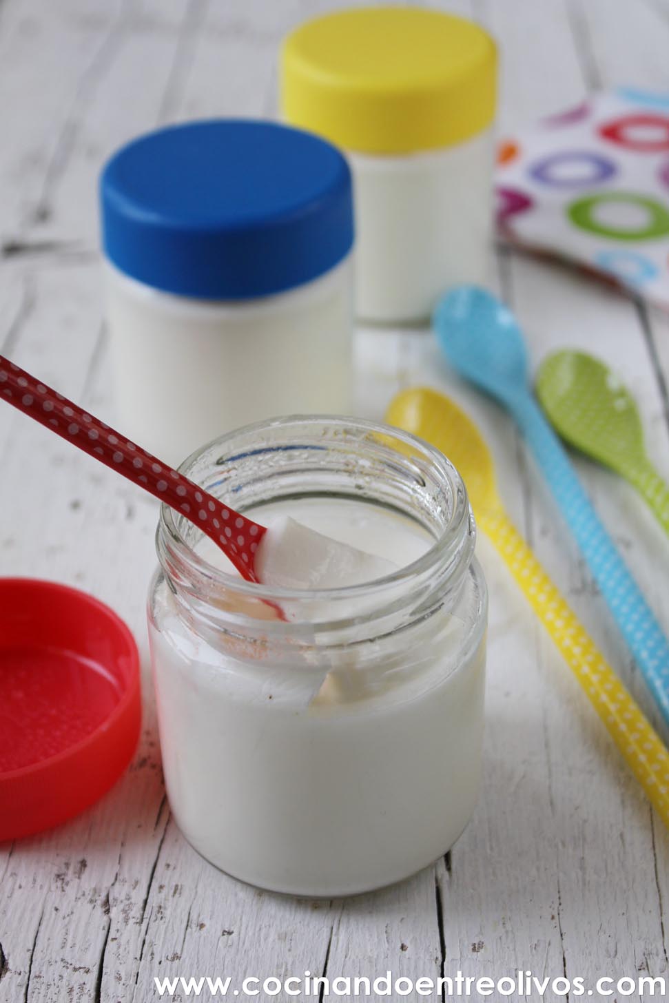 Yogur natural azucarado con Yogurtera del Lidl. Receta paso a paso