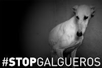 Campaña #STOPGALGUEROS