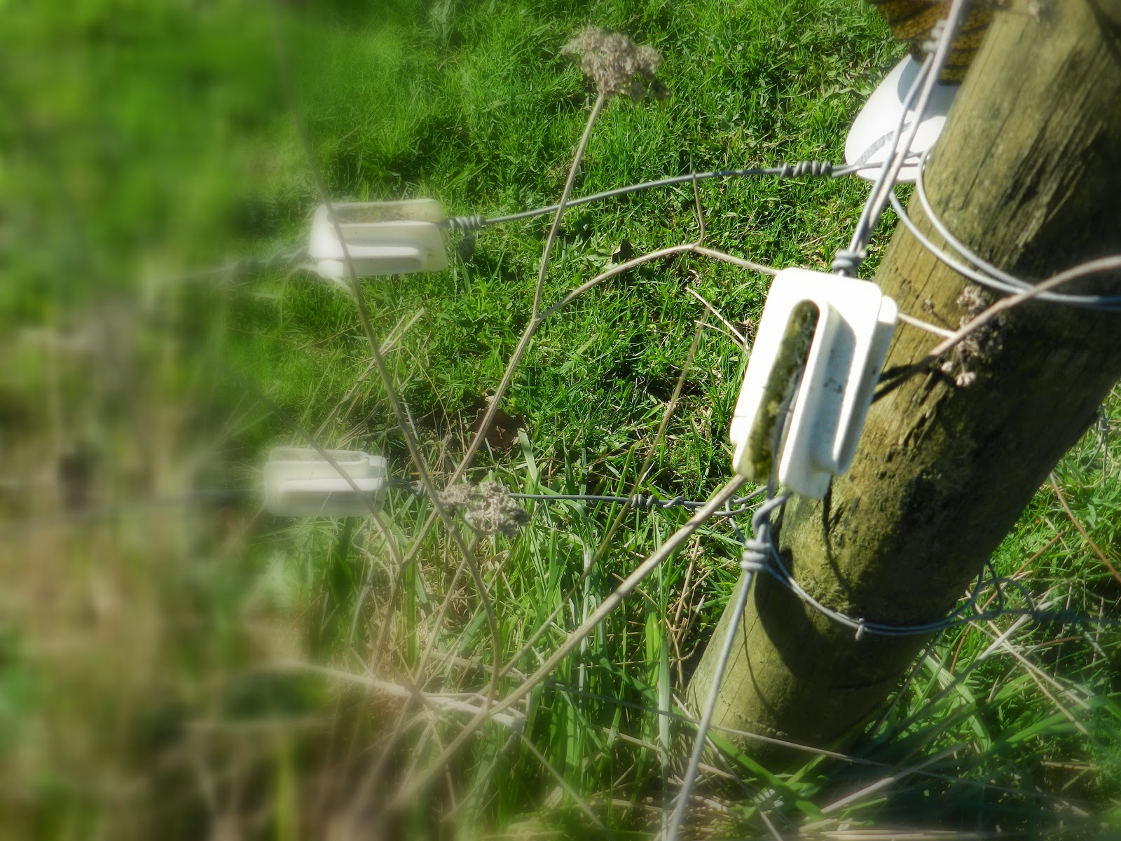 The Paddock Farm fencing