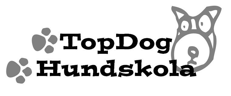 Topdog Hundskola
