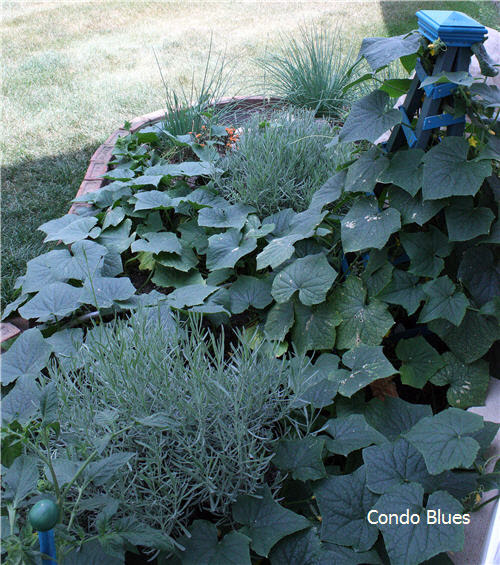 Condo Blues: Make a Painted Porch Floor Cloth