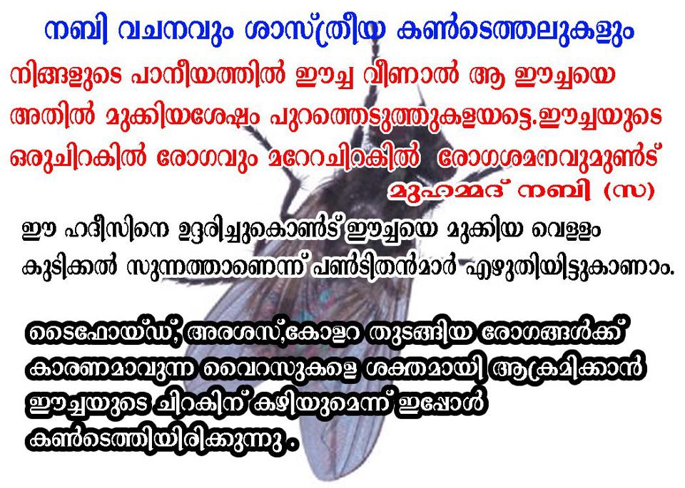Email Of The Day Www Keralites Net A A A A µa Sa A µaµ A A A A Aµ A Aµ A Aµ A A A Aµ A ÿaµ A Aµ A A Aµ A A Aµ A