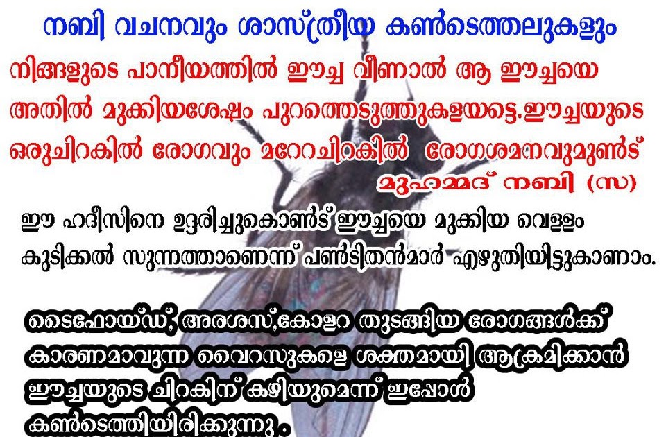 Email Of The Day Www Keralites Net A A A A µa Sa A µaµ A A A A Aµ A Aµ A Aµ A A A Aµ A ÿaµ A Aµ A A Aµ A A Aµ A