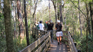 Slough Bird Walk